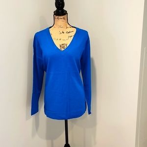 NWT Banana Republic Wool V-Neck Sweater, Blue, Size XL